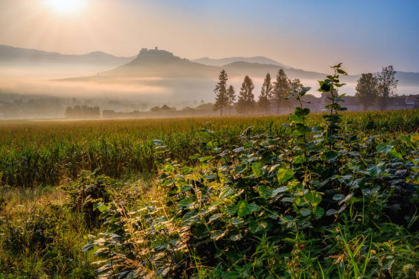 istock above valley at sunset or sunrise 1277799351