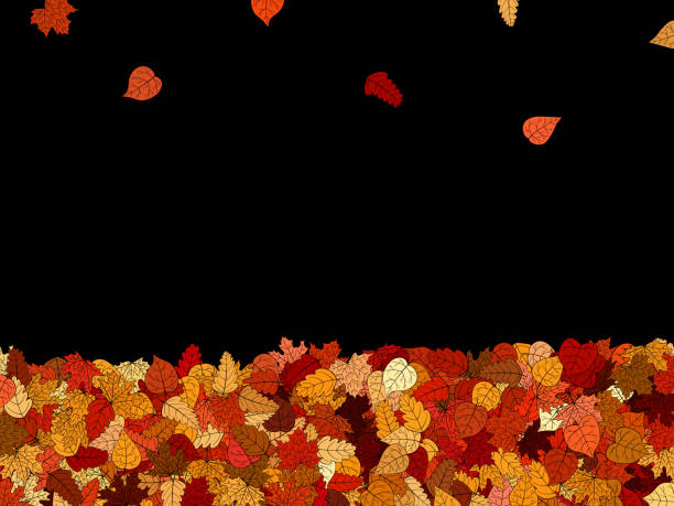 illustrazioni stock, clip art, cartoni animati e icone di tendenza di ampio sfondo autunnale vettoriale - foglie cadenti - autumn backgrounds biology botany