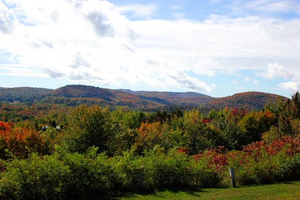 istock Autumn In The Laurentians 1277801980