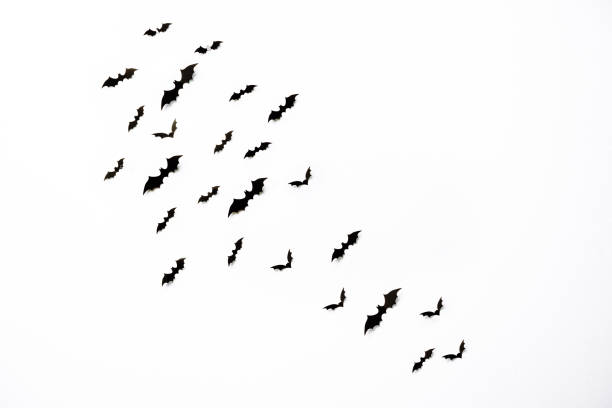istock Flying bats group isolated on white background.  Halloween symbols. 1277802696
