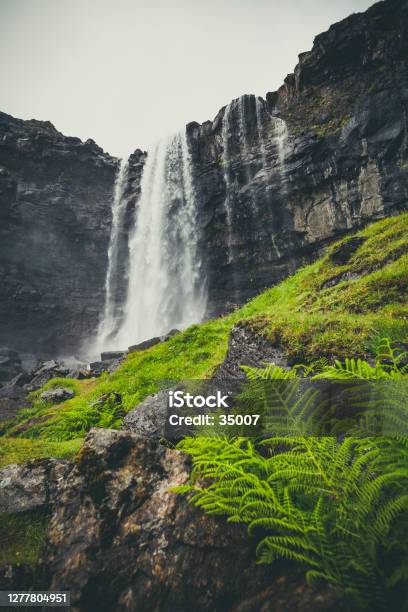 Fossa Waterfall Faroe Islands Stock Photo - Download Image Now - Waterfall, Animal Wildlife, Animals In The Wild