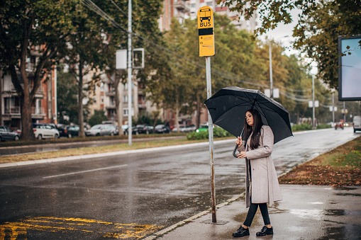 One woman, beautiful young woman with black umbrella, standing at the bus stop on the street on a rainy day.
