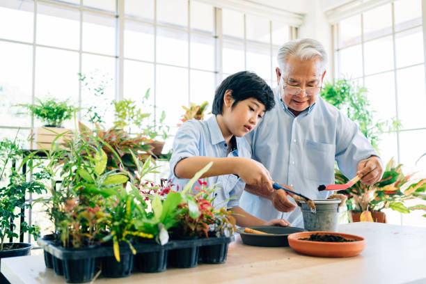 grand-père de retraite asiatique et son petit-fils passant du temps de qualité ensemble isolés à la maison. profitez de prendre soin des plantes, l’arrosage. liaison familiale entre les vieux et les jeunes. concept de quarantaine. - leisure activity grandparent grandfather grandson photos et images de collection