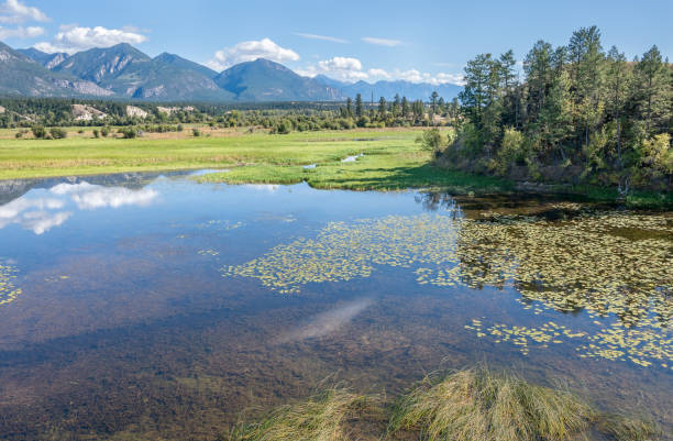 istock Columbia National Wildlife Area (Wilmer Bird Sanctuary) 1277811281