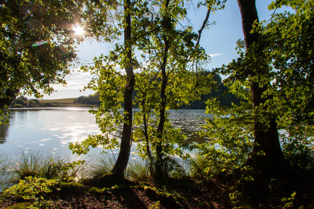 istock Niklassee Weiher in Upper Swabia 1277817892