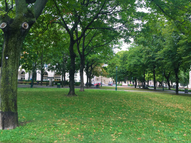 istock The Volksgarten garden 1277817945