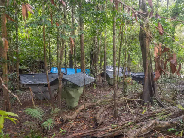 Jungle, Brazil - March 19 2018: Camp with hammocks in the amazon jungle. Selva. South America. Amazonia.