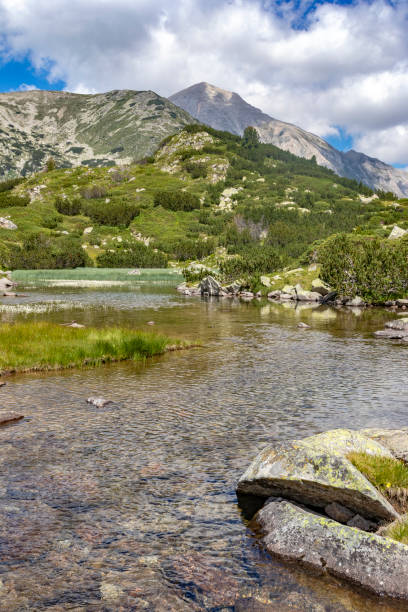 istock Banderitsa River at Pirin Mountain, Bulgaria 1277819672