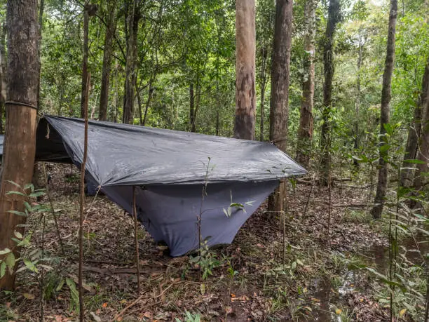 Jungle, Brazil - March 19 2018: Camp with hammock in the amazon jungle. Selva. South America. Amazonia.