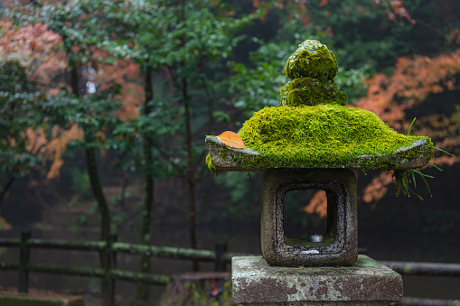 Mossy stone lantern in the rain
