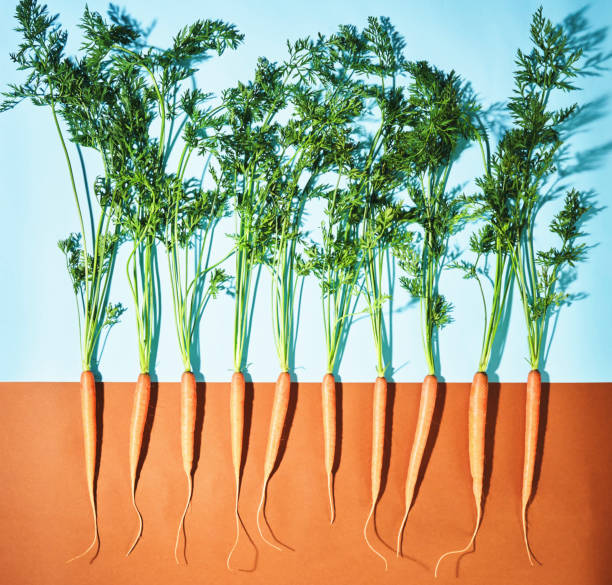 istock Vegetable Concept Carrots on Colored Vibrant Background 1277822942