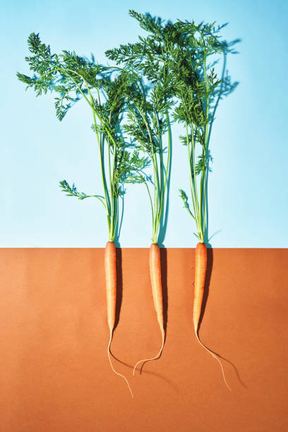 istock Vegetable Concept Carrots on Colored Vibrant Background 1277823096