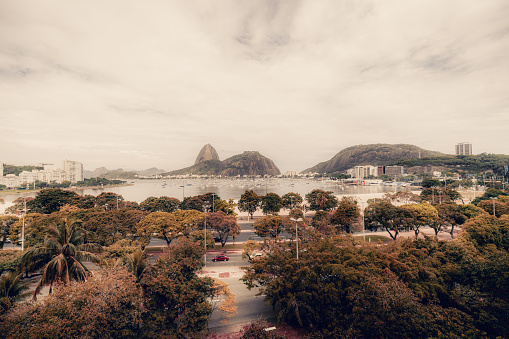 Wide-angle drone shot of a Botafogo district of Rio de Janeiro, Brazil; with multiple palms and other tropical trees in the foreground, a bay with sailboats in the distance, and peaks of Sugar Loaf