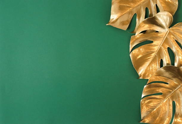 istock Gold monstera leaves frame on a green  background  top view.  copy space. abstract poster. 1277827306
