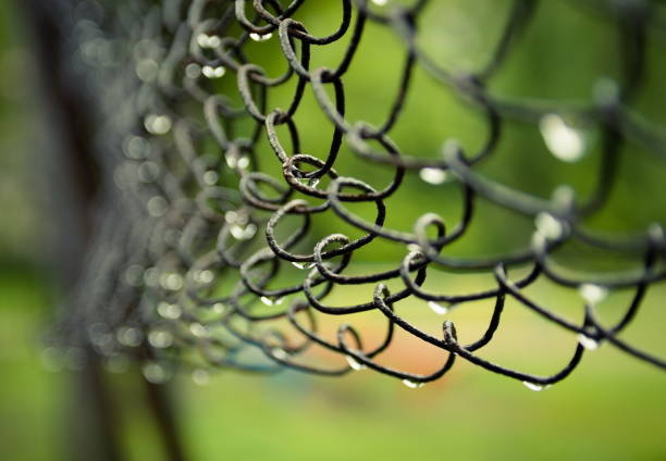 istock Soft focused view of raindrops on a wicker iron fence. Close-up 1277828982