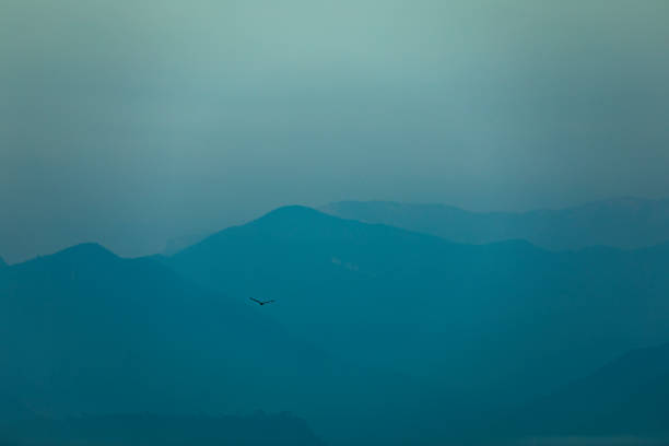 istock Birds flying over mist mountains in the morning 1277832071