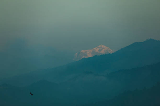 istock Birds flying over mist mountains in the morning 1277832073