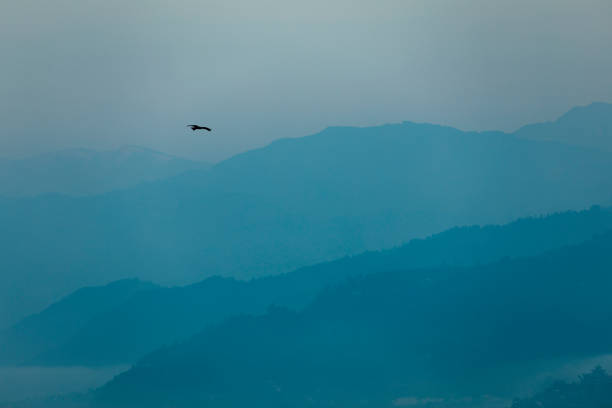 istock Birds flying over mist mountains in the morning 1277832092