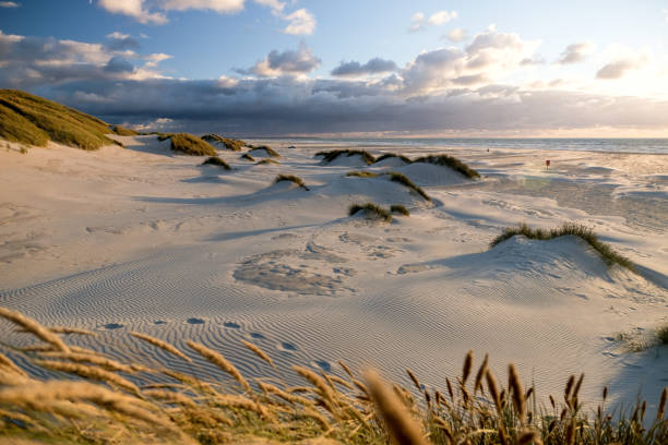 istock Beautiful coastline in northern Jutland 1277834768