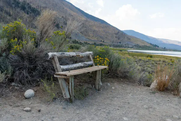 Photo of Small wood bench at Mono Lake, Mono County, California, USA