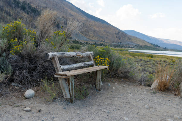 small wood bench at mono lake, mono county, california, usa - mono county imagens e fotografias de stock