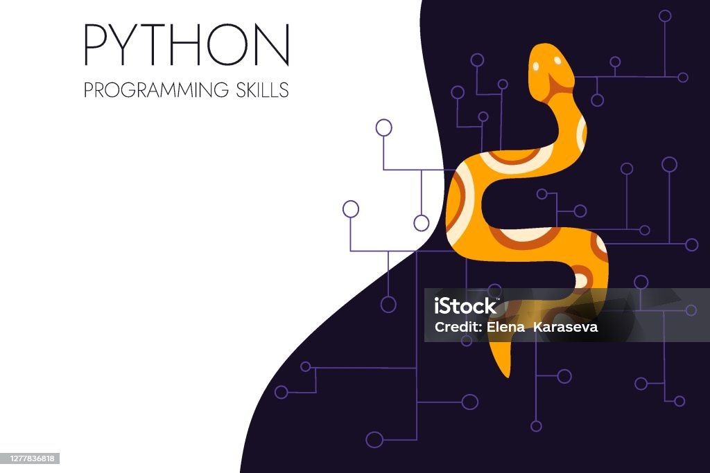 Python Code Language Sign Programming Coding And Developing Concept ...