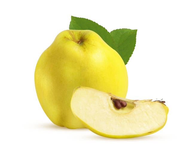 istock large ripe quince with green leaves on a white background 1277842050