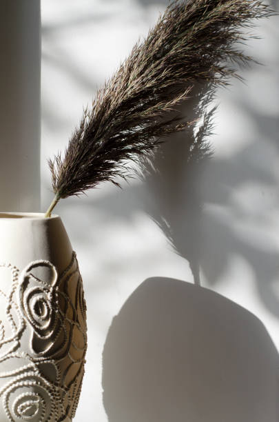 istock A sprig of reeds and its shadow on the wall. 1277842087