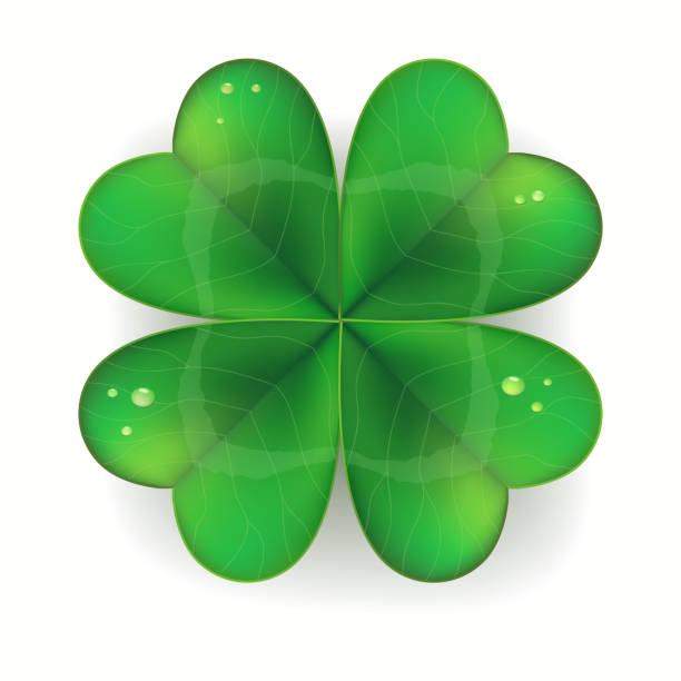 clover shamrock realistyczny, symbol dnia świętego patryka. ilustracja wektorowa - vibrant color shiny irish culture traditional culture stock illustrations