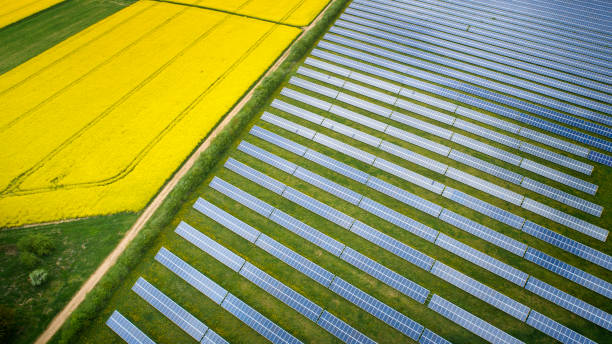 istock Canola fields and solar power plant in springtime - aerial view 1277853700