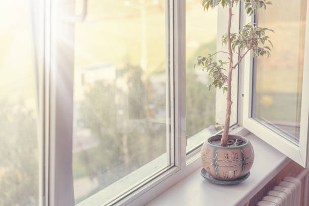 istock bright sun ray light lit room in morning time through open window with flower in pot on windowsill 1277853754