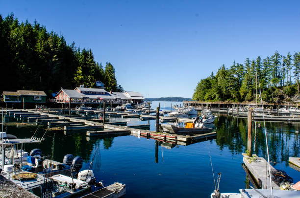 istock At the docks of Telegraph Cove 1277857405