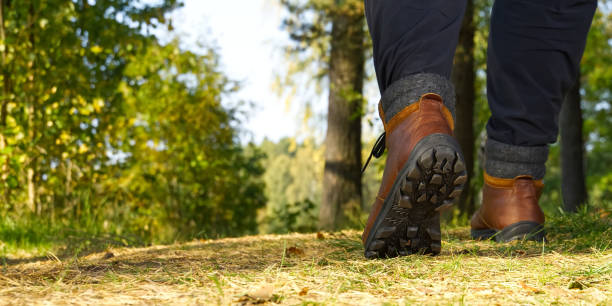 가을 소나무 숲에서 숲에서 하이킹 하는 남자. 화창한 날에 숲을 걷는 남자 부츠. 하이킹 컨셉, 야외 라이프스타일. - sunny season summer autumn 뉴스 사진 이미지
