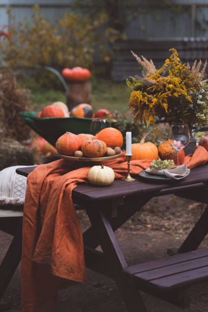Fall themed holiday table setting arrangement for a seasonal party, banner Fall themed holiday table setting arrangement for a seasonal party, glasses, pumpkins, candles, field flowers cottagecore stock pictures, royalty-free photos & images