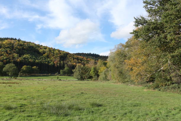 istock Autumn at Lake Laach in the Volcanic Eifel 1277860281
