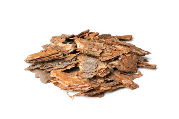 istock Heap of Pine Tree Bark Chip Isolated 1277860474