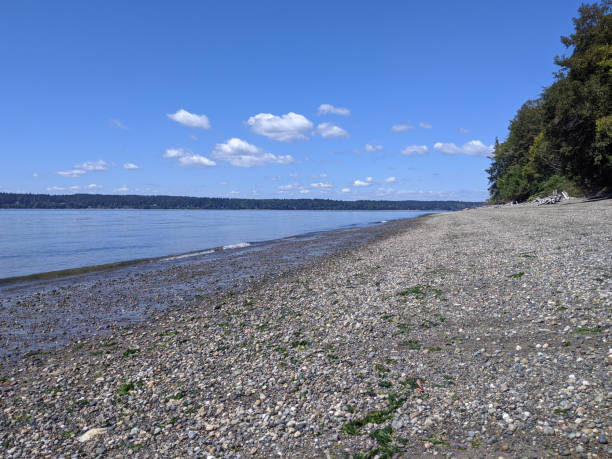 istock Joemma Beach State Park in Longbranch, WA, on a bright sunny day 1277869461