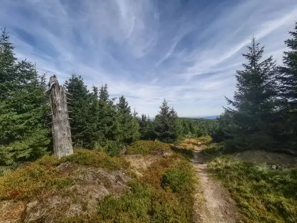 Photo of View of the Jizera Mountains - Sudetes Mountains - Poland