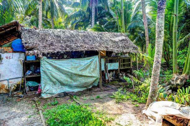 istock A rustic shack along the Mekong River in Ben Tre Vietnam 1277872299
