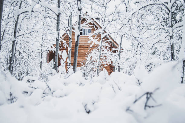 House in a snowstorm in Landenberg,Chester County, Pennsylvania with visible snowflakes