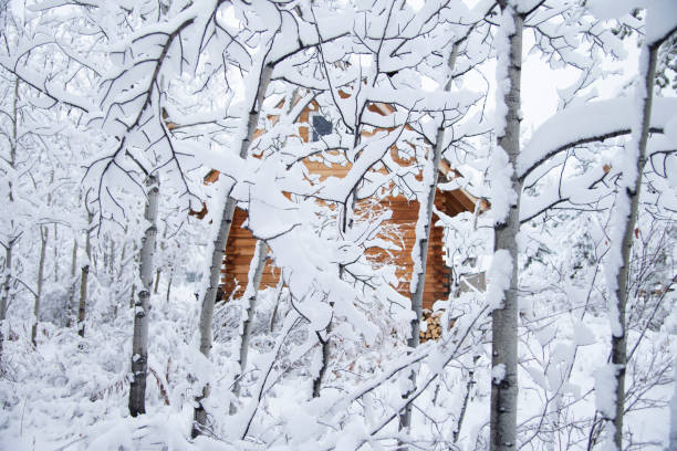 istock A cozy log cabin in the snow 1277878585