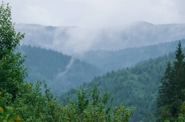 istock Foggy morning landscape 1277879728