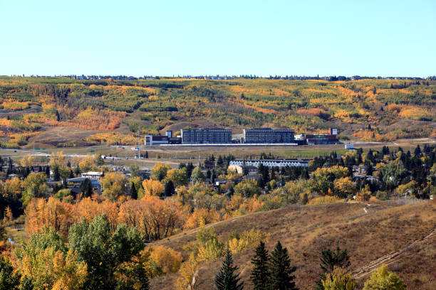 Commercial And Residential Development In Harmony With Nature