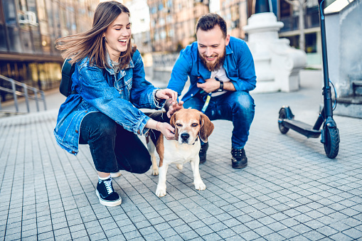 Couple Walking Their Dog With Electric Scooter