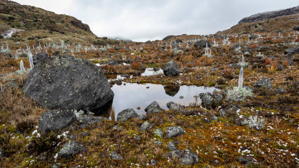 istock LAKES AND MOUNTAINS IN LOS NEVADOS 1277885778