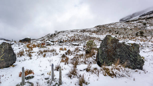 istock LAKES AND MOUNTAINS IN LOS NEVADOS 1277887921