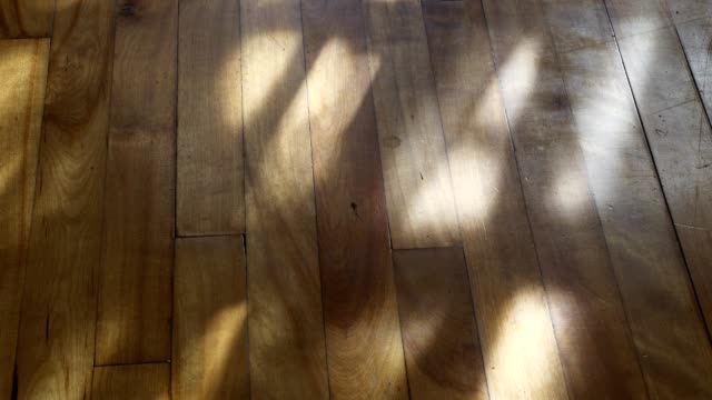 Wooden floor with shadows of the wind moving curtains in living room 4k video