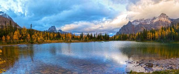 istock Schaffer Lake Landscape in Yoho National Park, BC Canada 1277890228