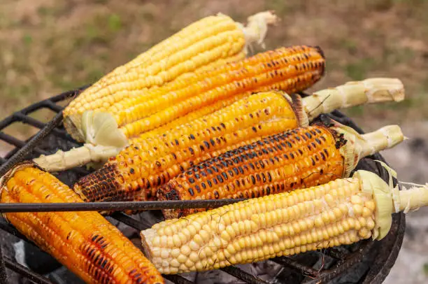 Photo of Brazilian street food. Roasted corn on the grill, very popular in northeastern Brazil.