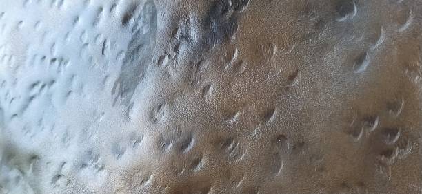 Gouges Surface Finish 220+ Gouges Stock Photos, Pictures & Royalty-Free Images - iStock